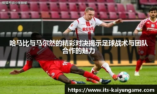 开云kaiyun官网